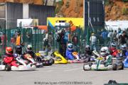 20110501_ales_agnus (2211)